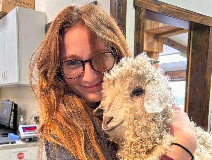 Livestock & Camelids