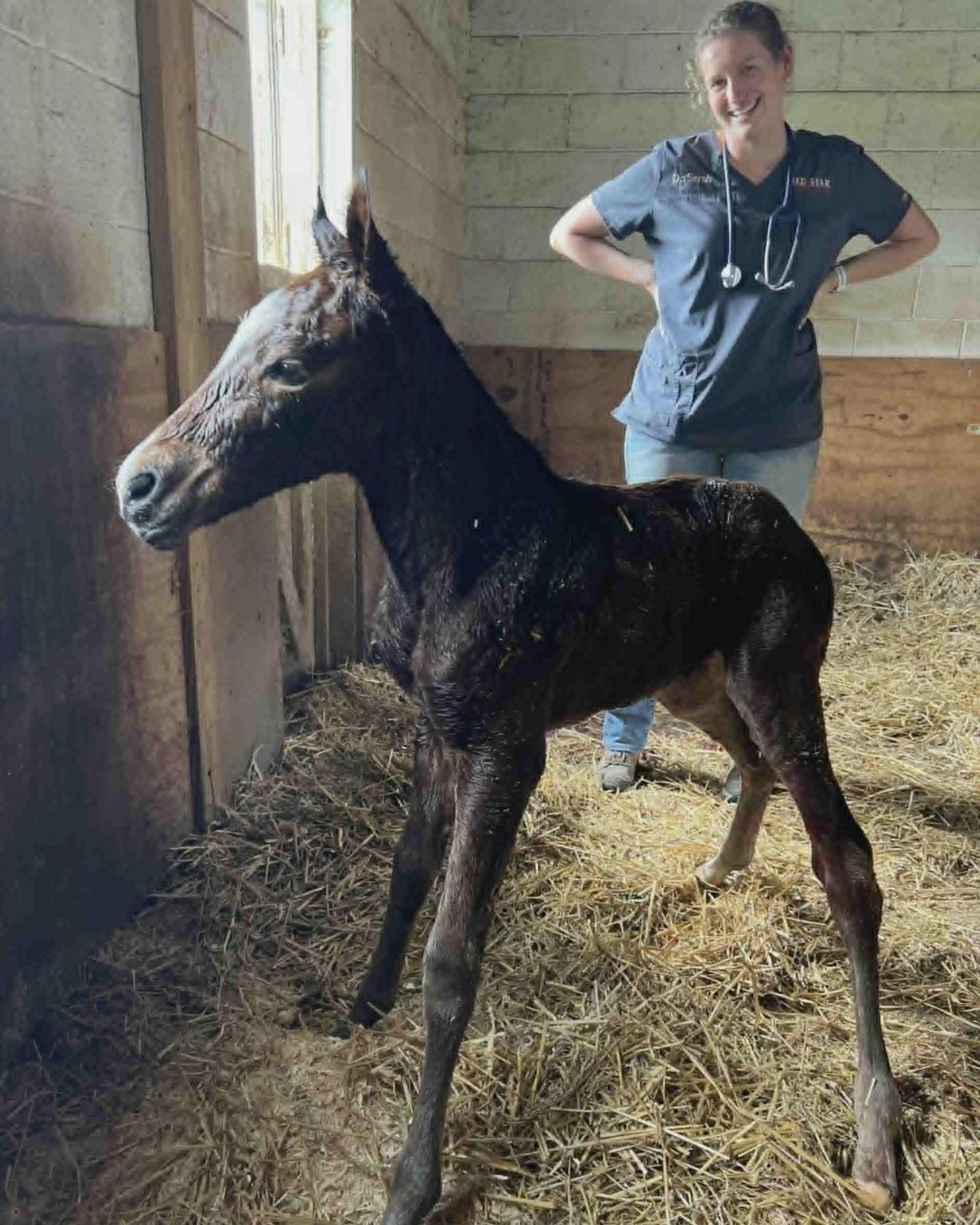 Comprehensive health and wellness benefits